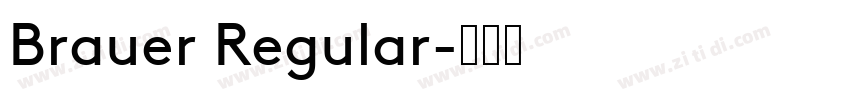 Brauer Regular字体转换